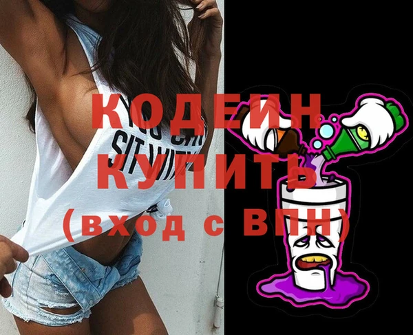 хмурый Няндома