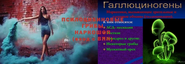 хмурый Няндома