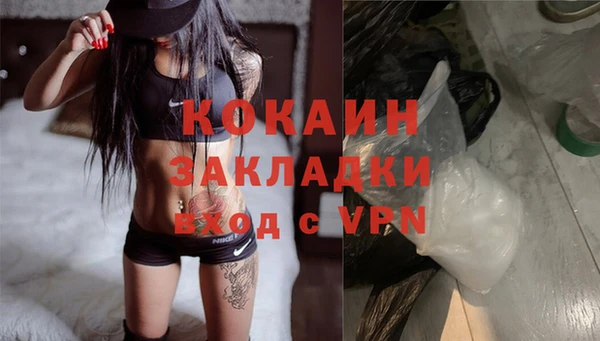 хмурый Няндома