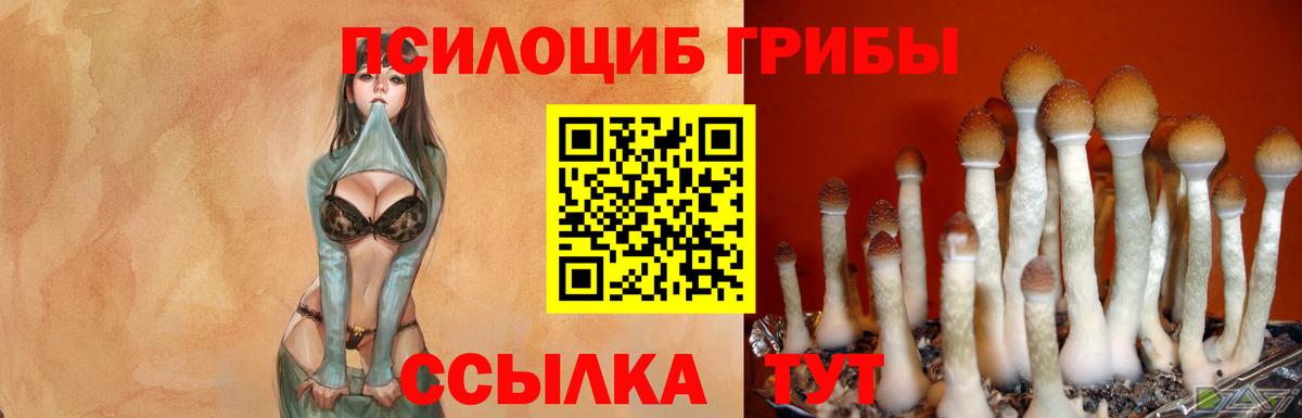 Псилоцибиновые грибы MAGIC MUSHROOMS  Вход с VPN  Саки 