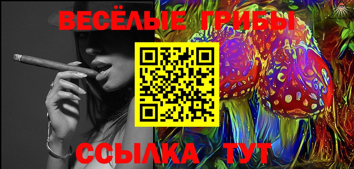 Галлюциногенные грибы Psilocybe Саки